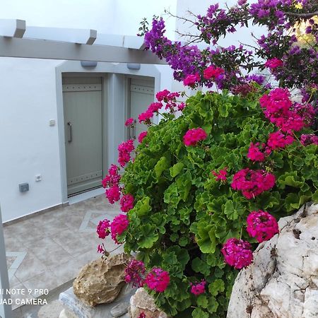 Villa Delfinaki Lionas المظهر الخارجي الصورة