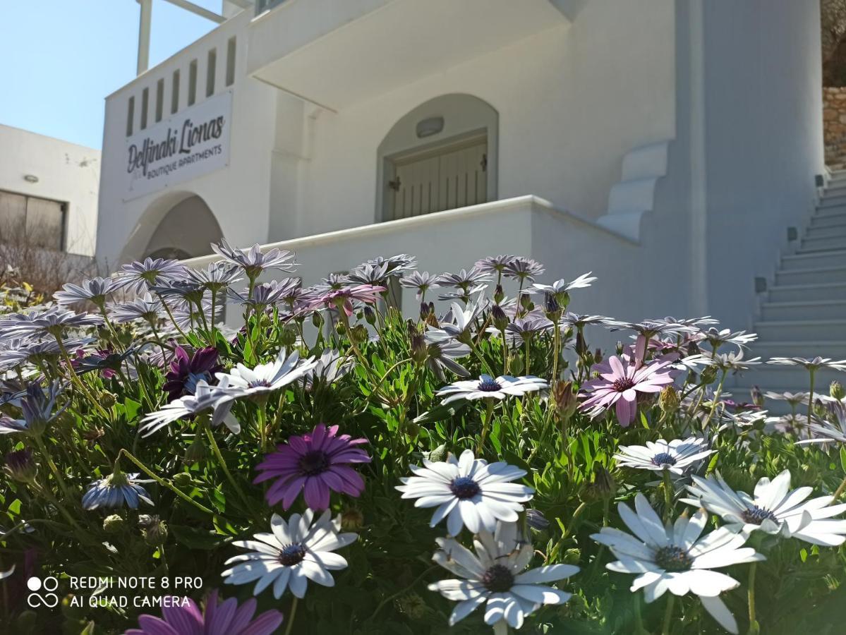 Villa Delfinaki Lionas المظهر الخارجي الصورة