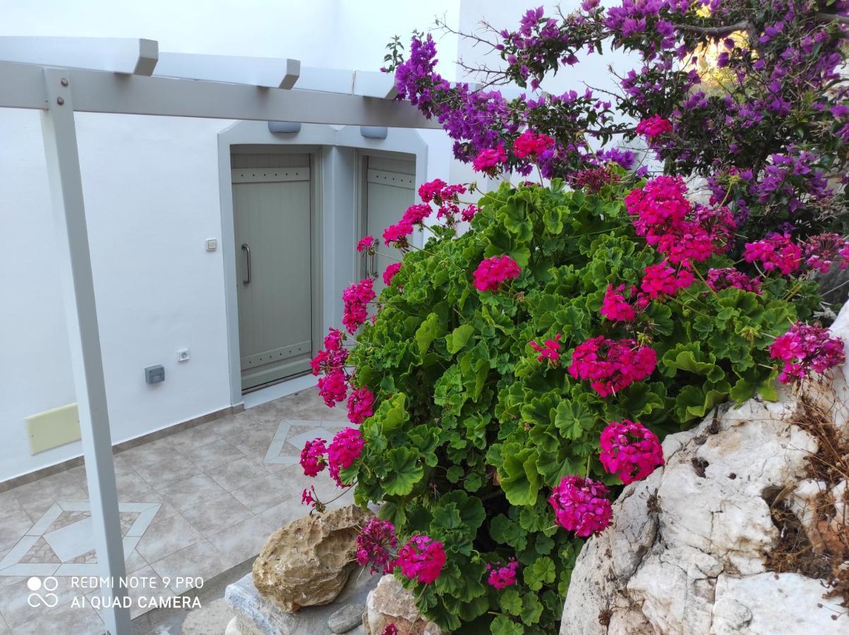 Villa Delfinaki Lionas المظهر الخارجي الصورة